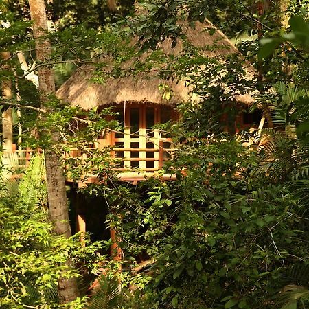 Aldea Bamboo Village San Francisco  Exterior photo