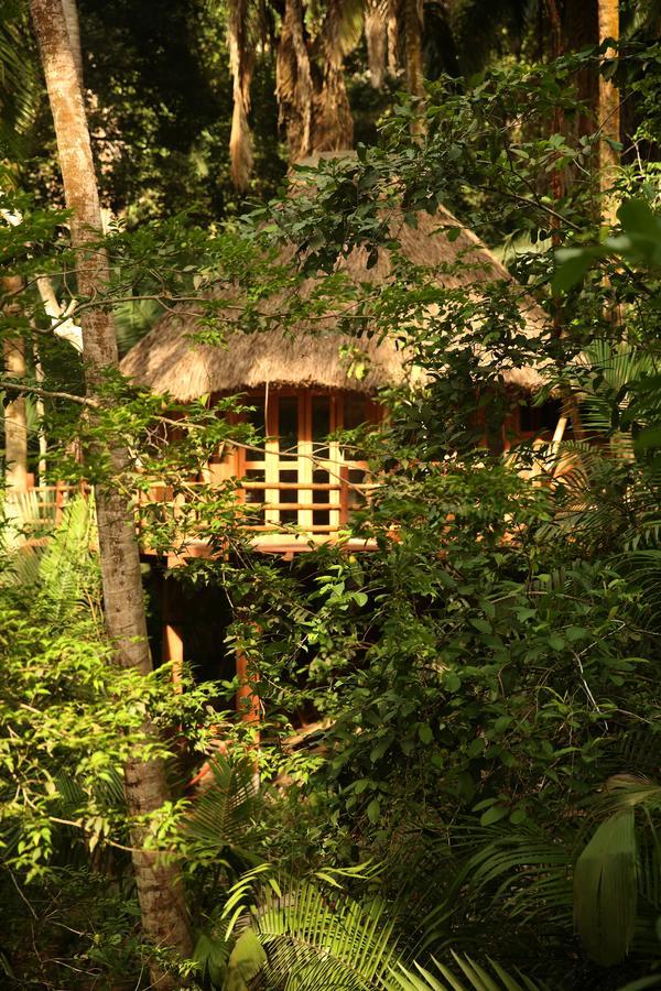 Aldea Bamboo Village San Francisco  Exterior photo